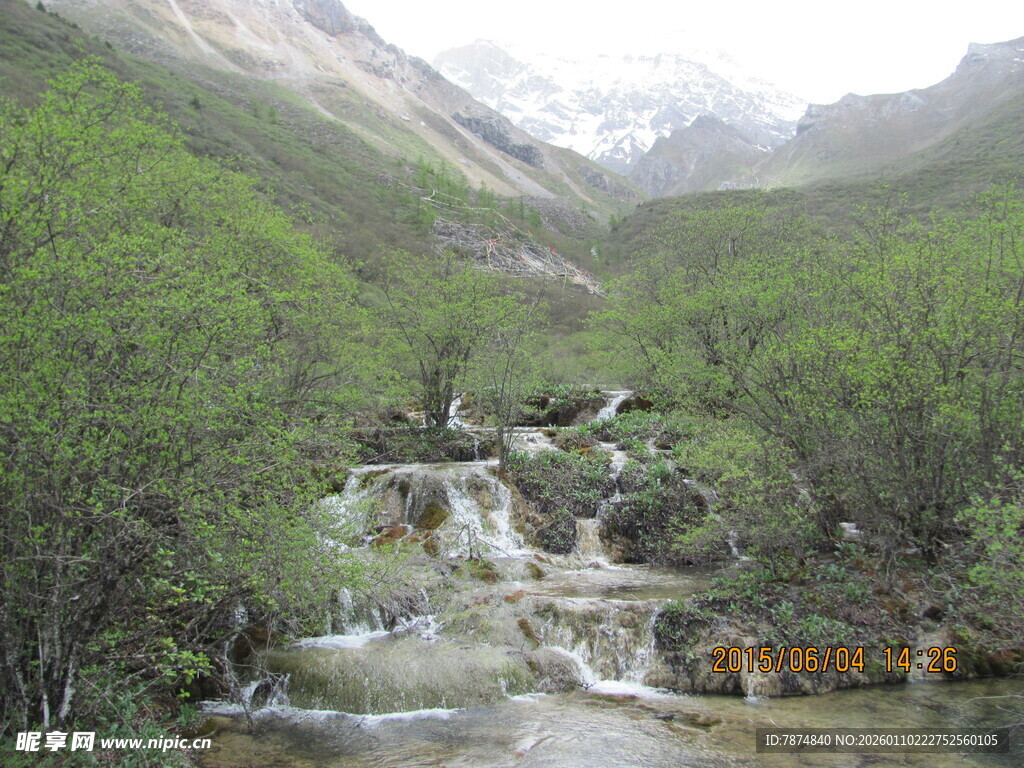 山间溪流穿行于葱郁植被间