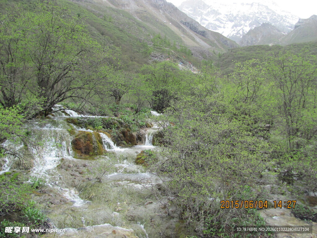 山间溪流穿林而过