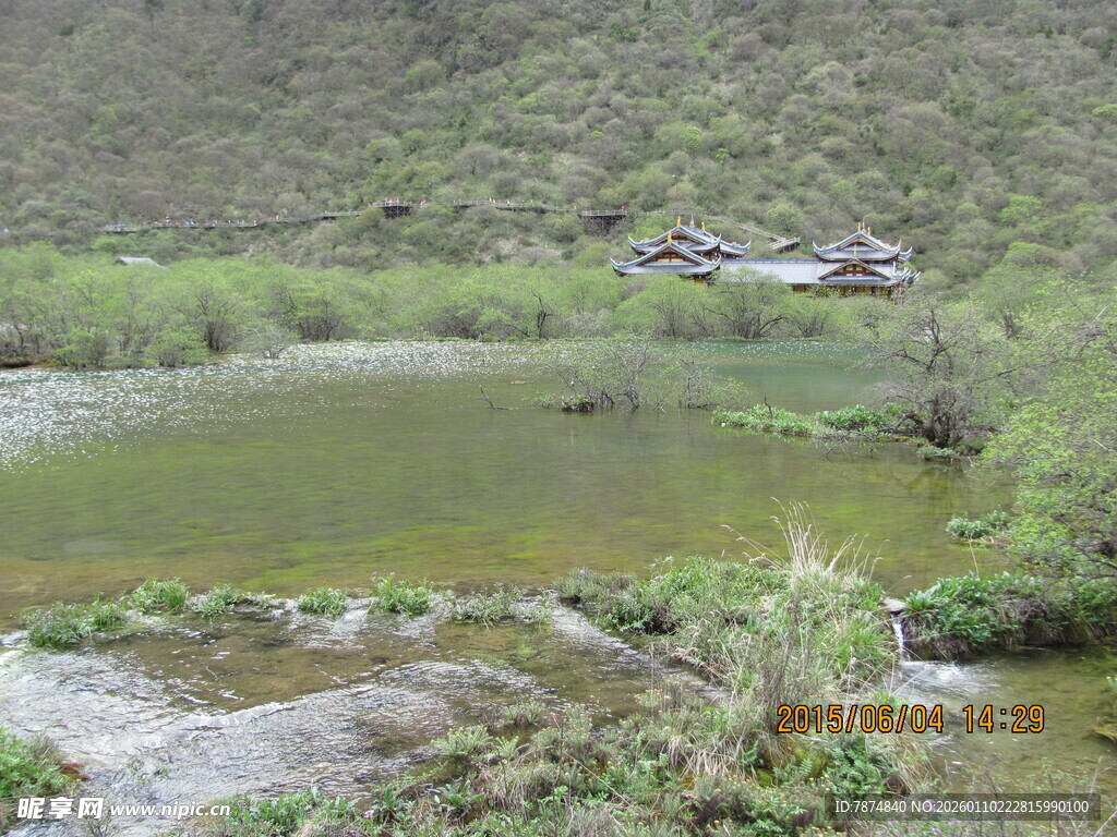 山间清澈小池塘景色
