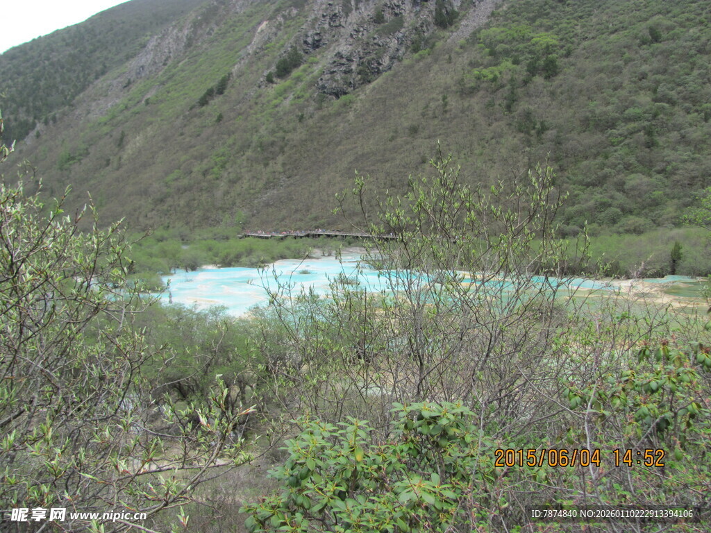 山间蓝湖旁的繁茂植被