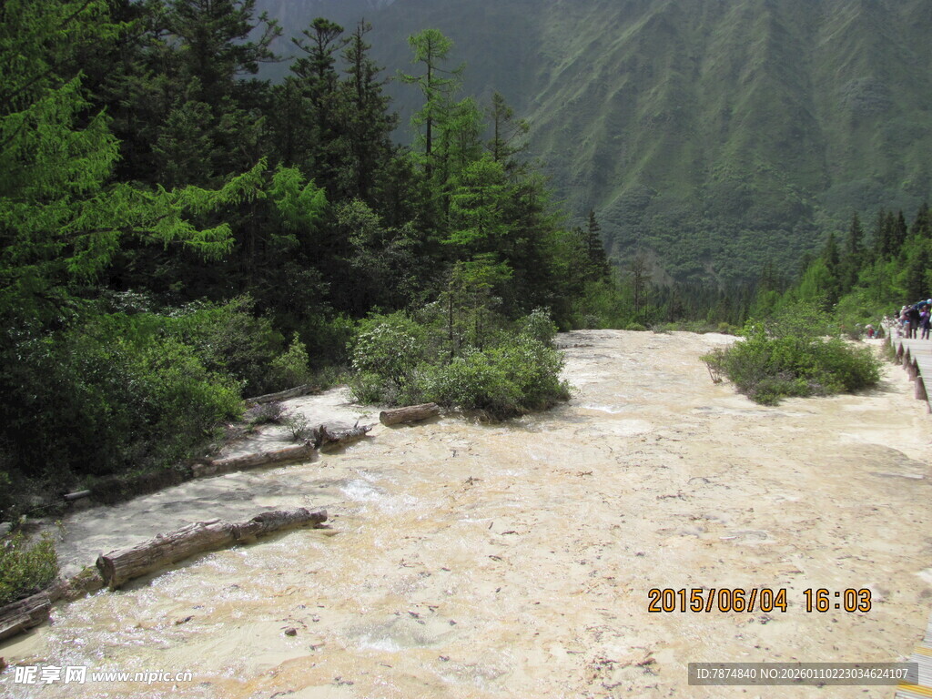 山间湍急溪流穿行于绿树间