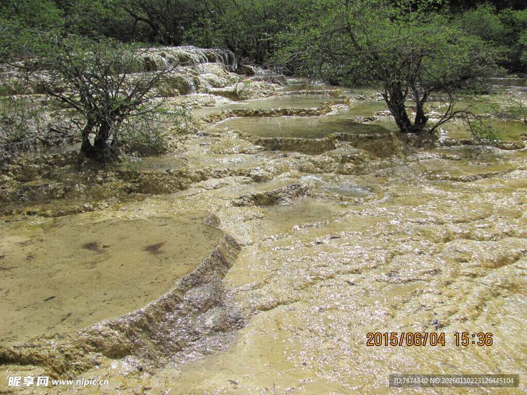干旱土地上的稀疏植被