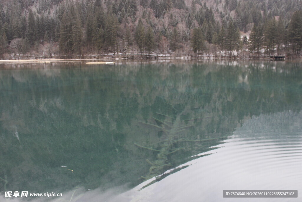 宁静湖水与岸边树林倒影