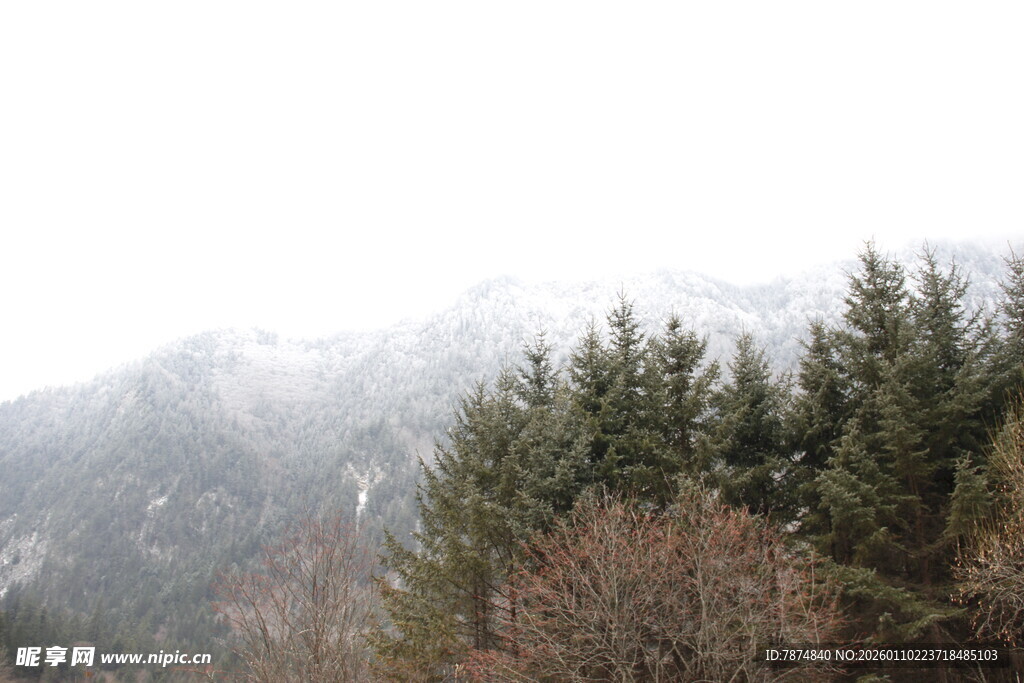 雪覆山林景色