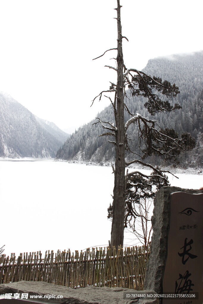 冬日湖边枯树与石碑景观