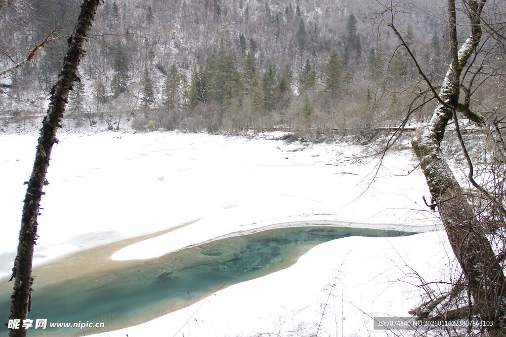冬日雪覆河畔的清幽景致
