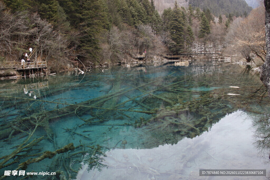 九寨沟清澈蓝绿湖水美景