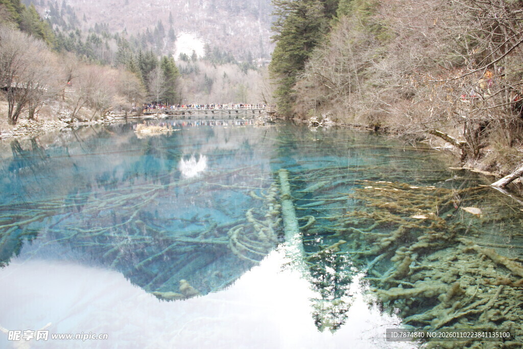 清澈河谷中的梦幻山水倒影