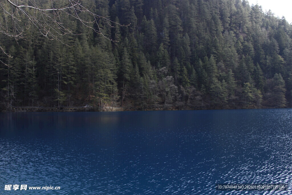 静谧蓝湖旁的葱郁山林