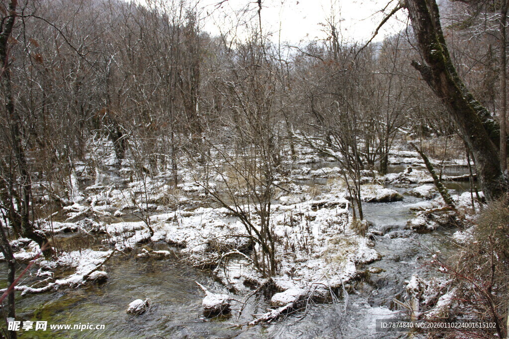 冬日溪流雪景