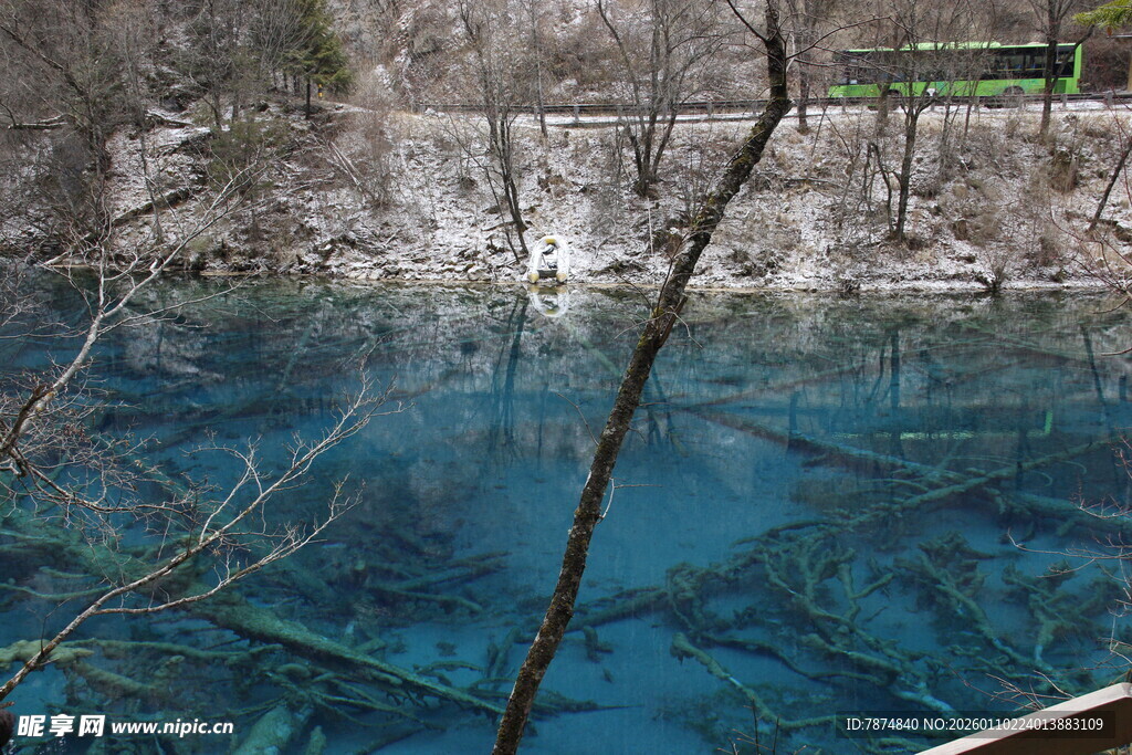 清澈蓝湖中的水下景观