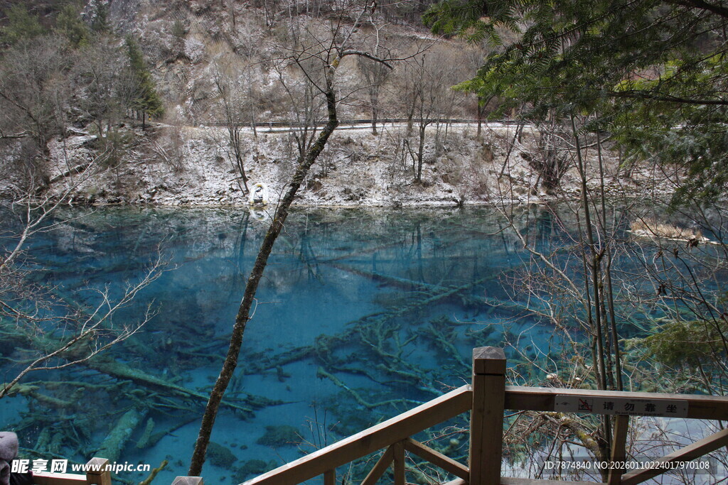 蓝湖美景 林间观景台视角