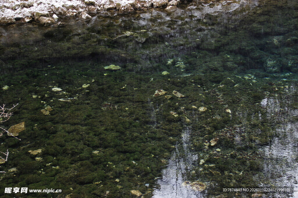 清澈溪流中的多彩水底世界