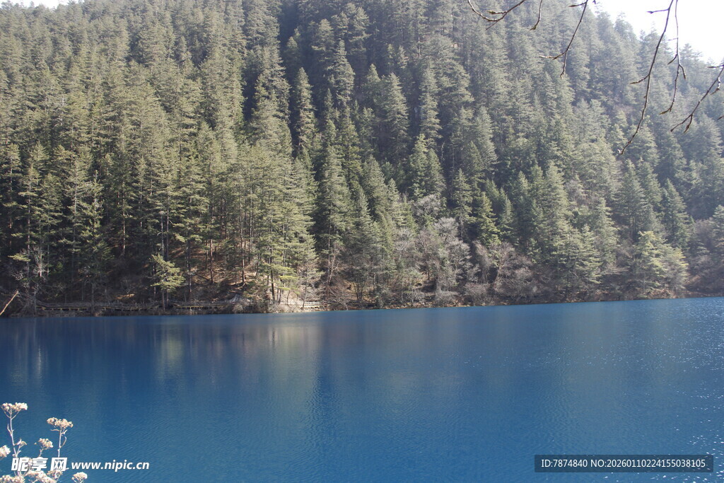 蓝色湖泊边的葱郁山林