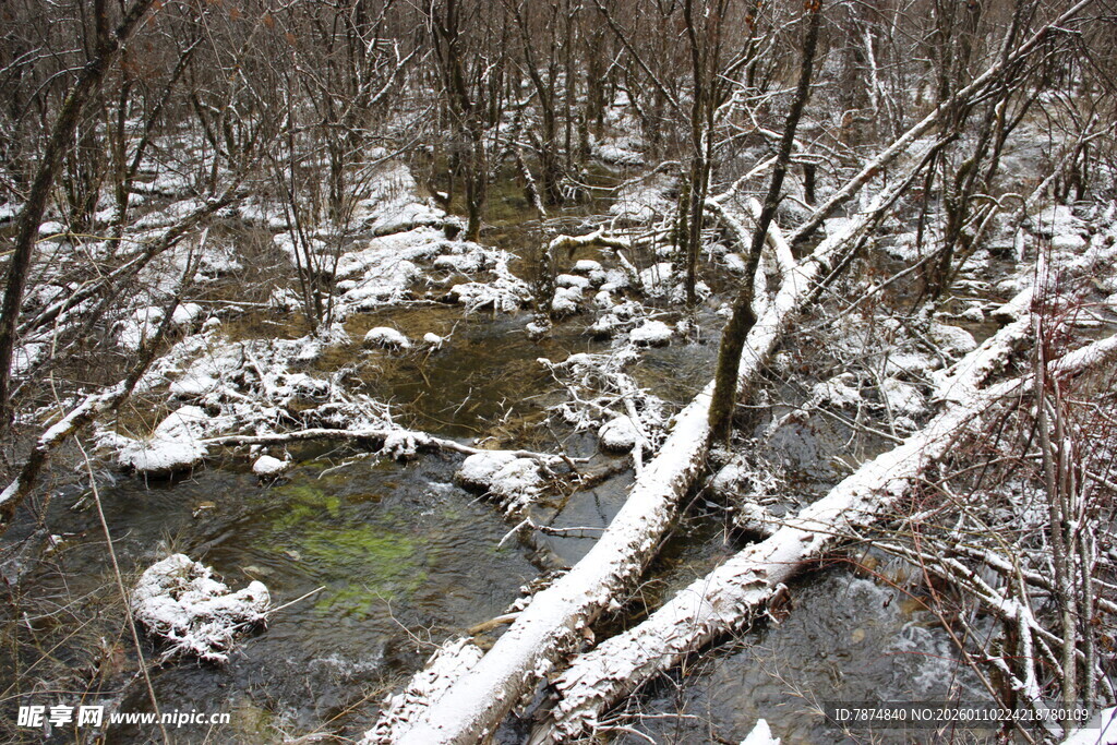 冬日雪覆溪流林间景象