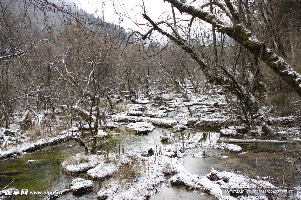 冬日溪流雪景图