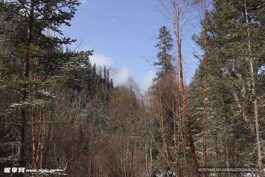冬日山林雪景风光