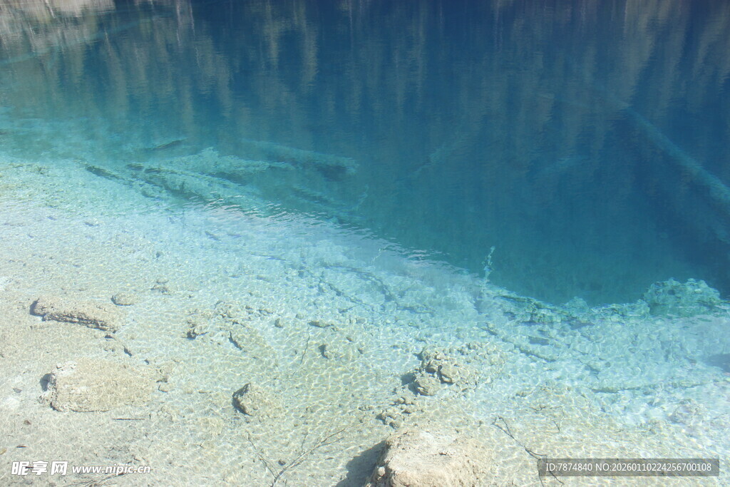 清澈海底世界景象