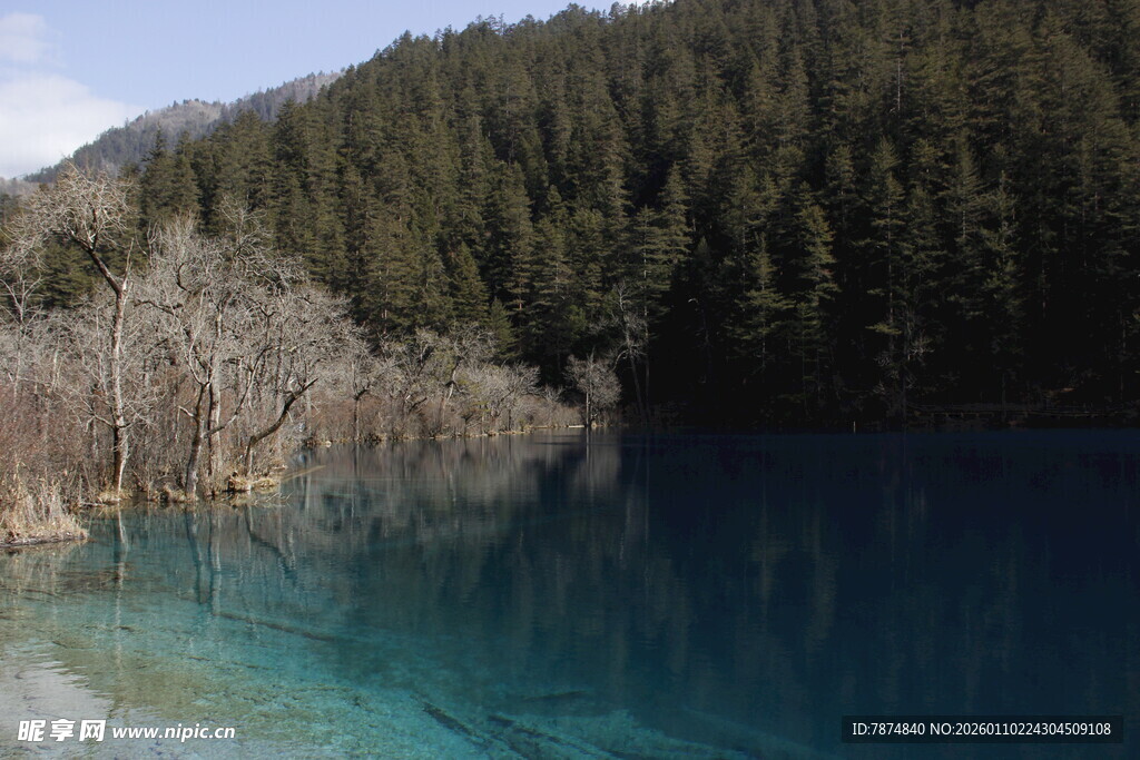 清澈湖水旁的山林美景