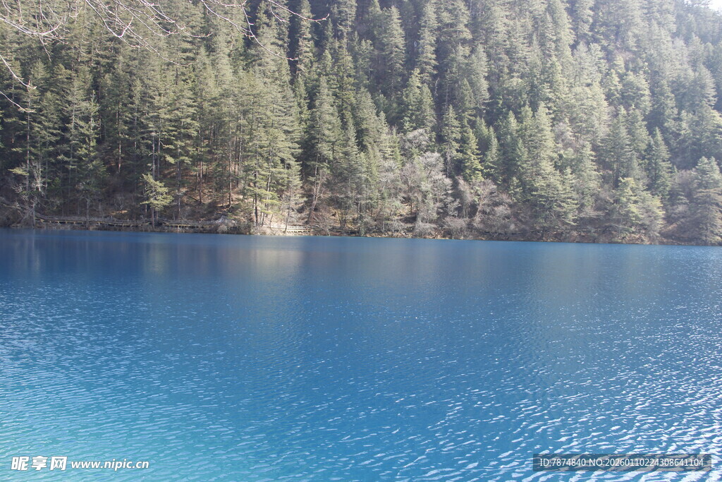 宁静蓝湖与葱郁山林