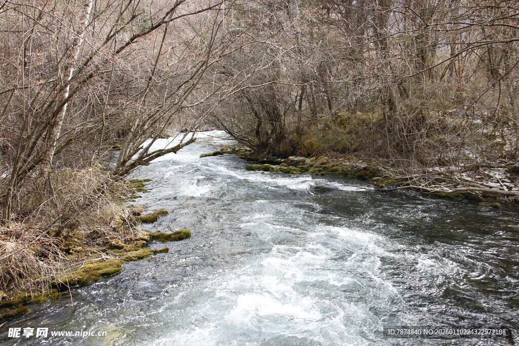 山间溪流潺潺流淌