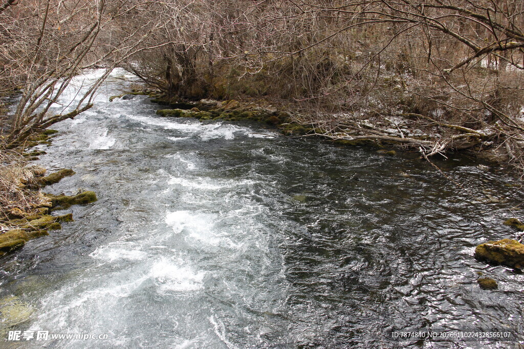 山间溪流潺潺流淌