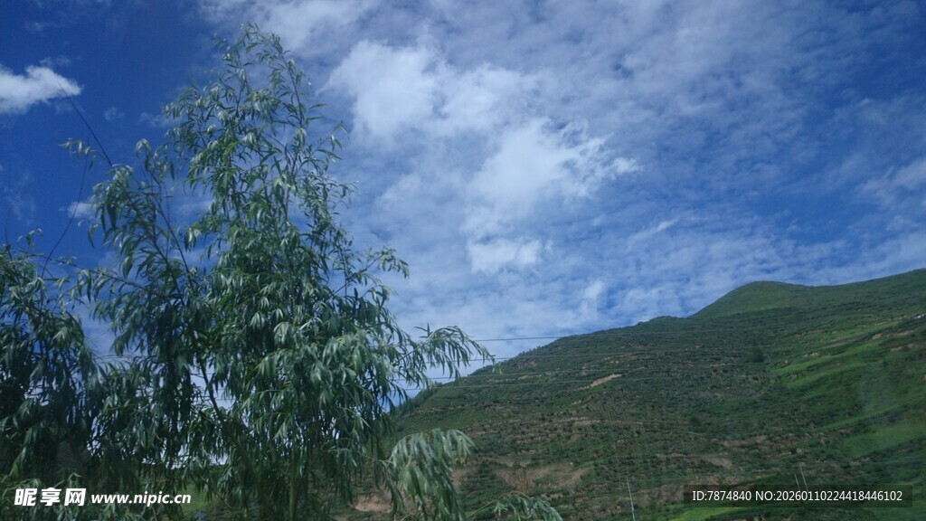 青山蓝天绿树自然美景