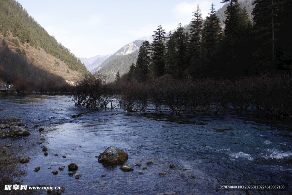 山间清澈河流与茂密树林