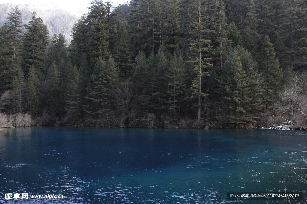 蓝湖映松景 自然之绮丽