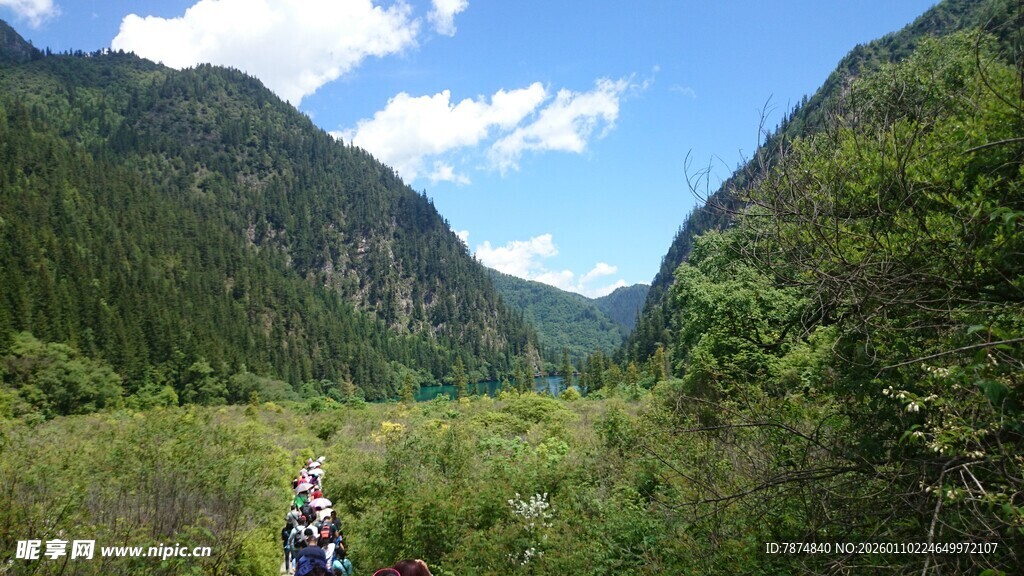 山间徒步者穿行葱郁绿野