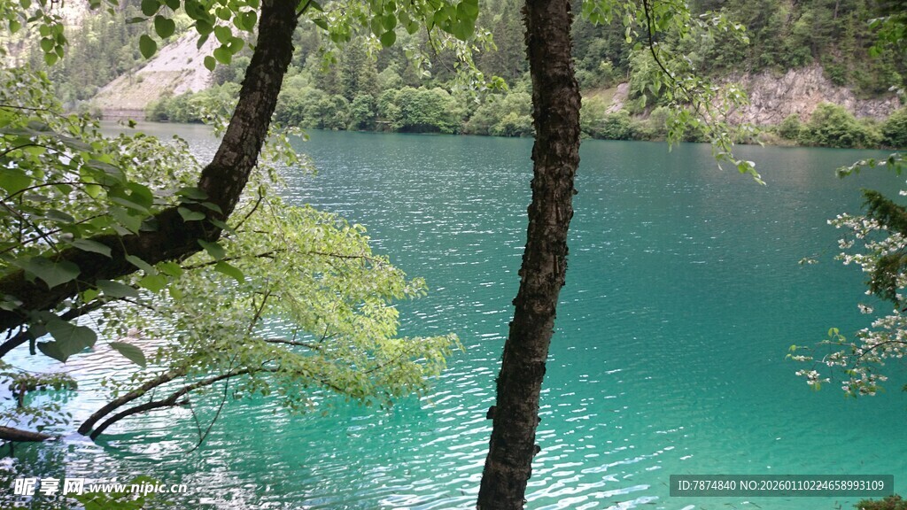 湖畔绿树环绕的碧蓝湖水