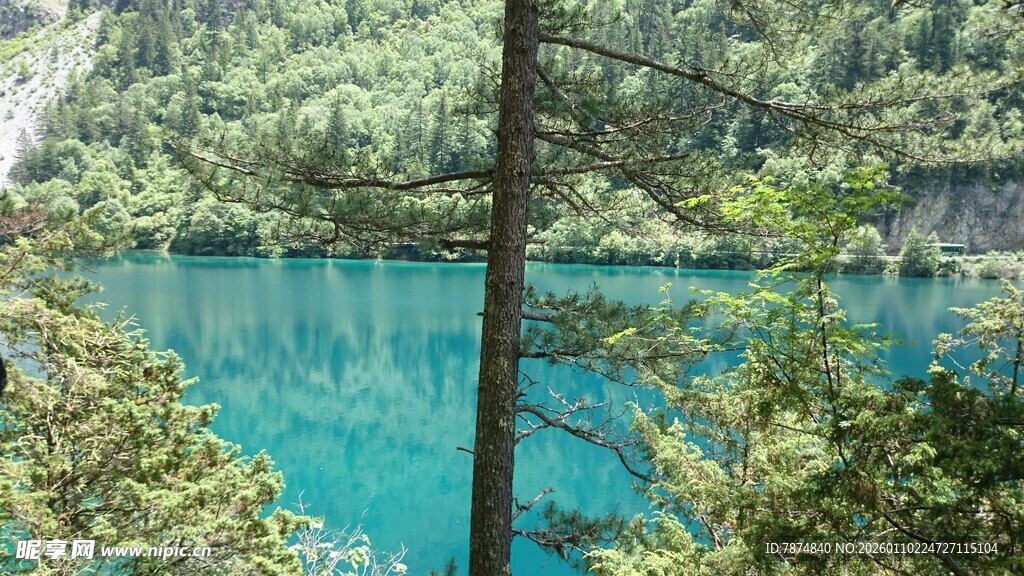 湖畔森林中的幽蓝湖水