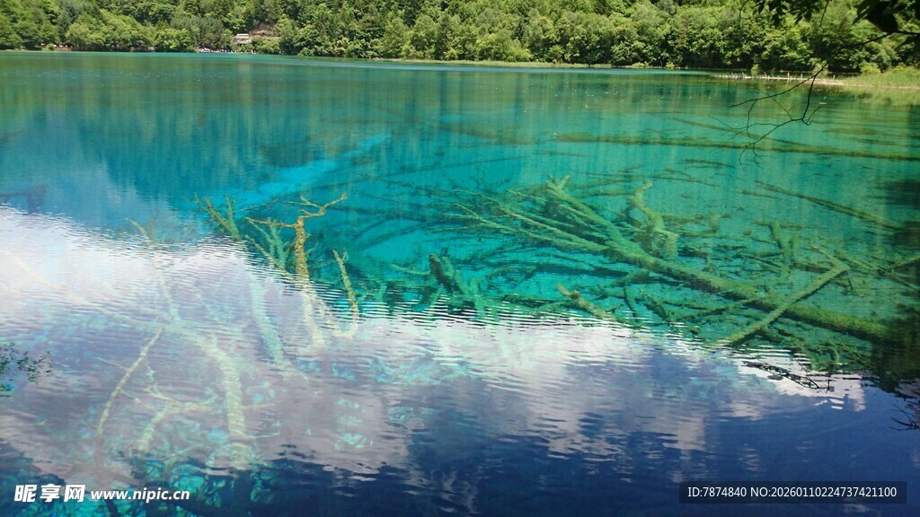 清澈蓝绿湖水水下景观