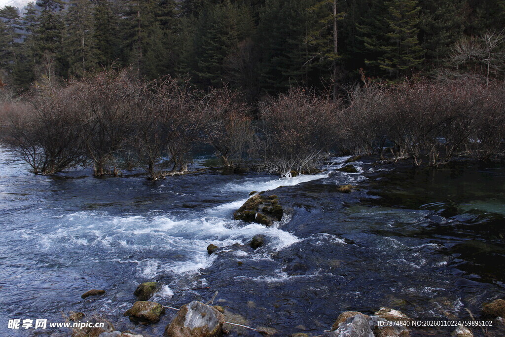 山间溪流潺潺 景致清幽