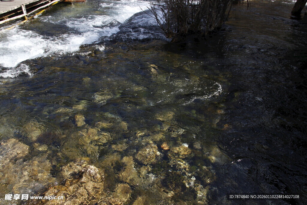 清澈溪流中的水底景象