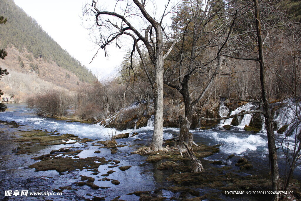 山间溪流枯树冬日景致