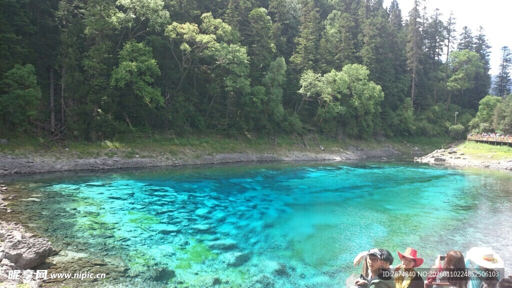 清澈蓝湖与岸边葱郁树林