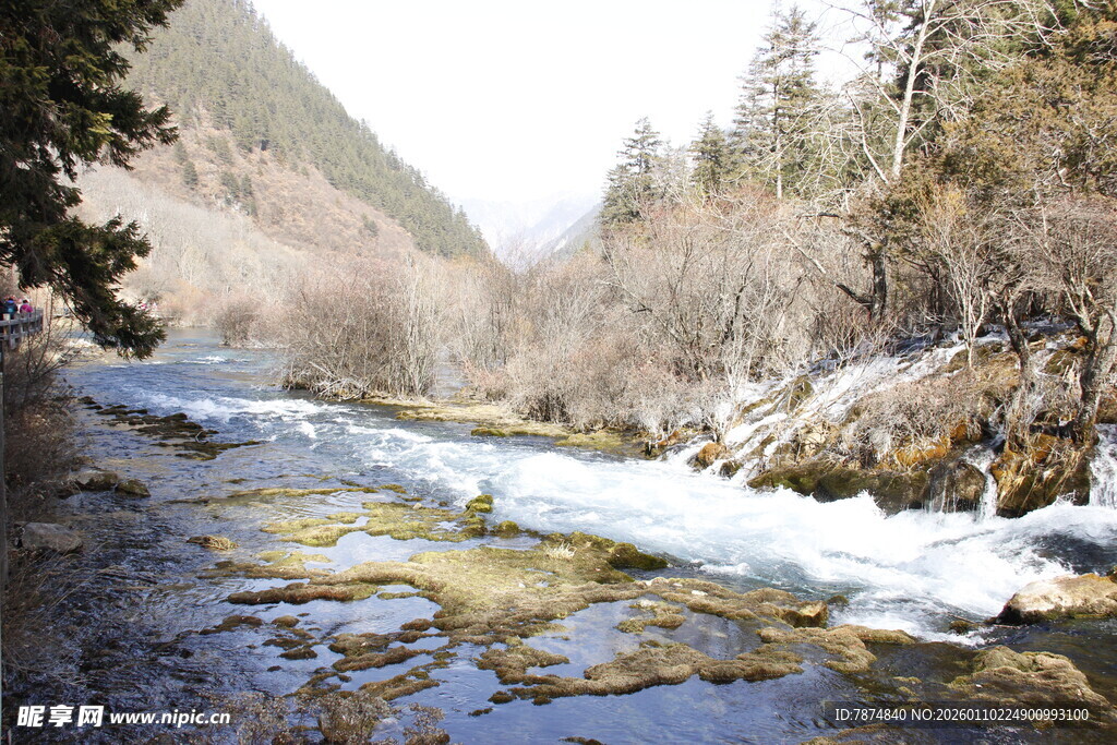 山间溪流潺潺美景