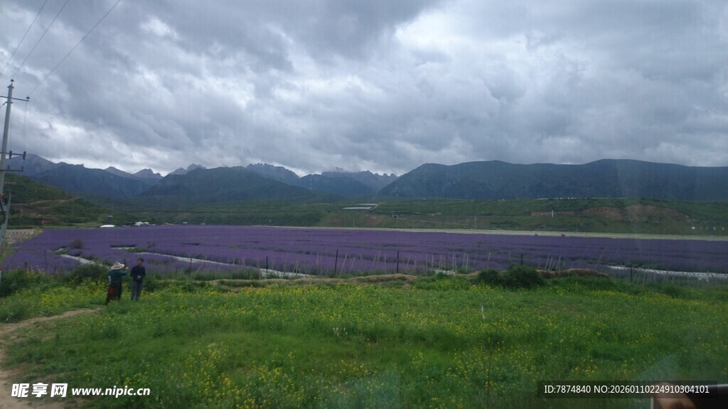草原公路边的阴云与远山