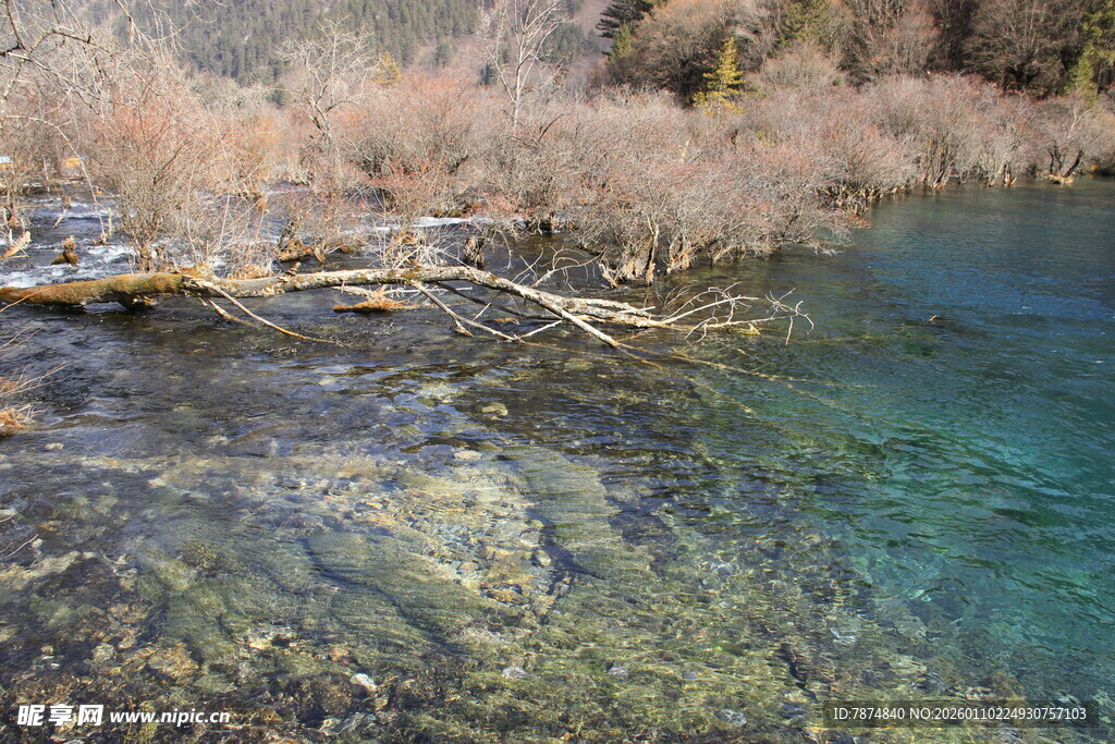 清澈见底的山间溪流