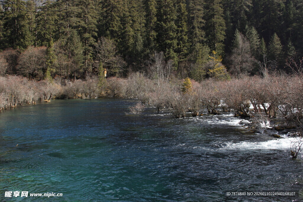 清澈幽蓝的山间溪流景色