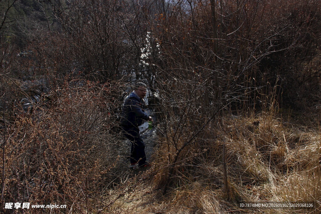徒步者穿行于荒野灌木丛