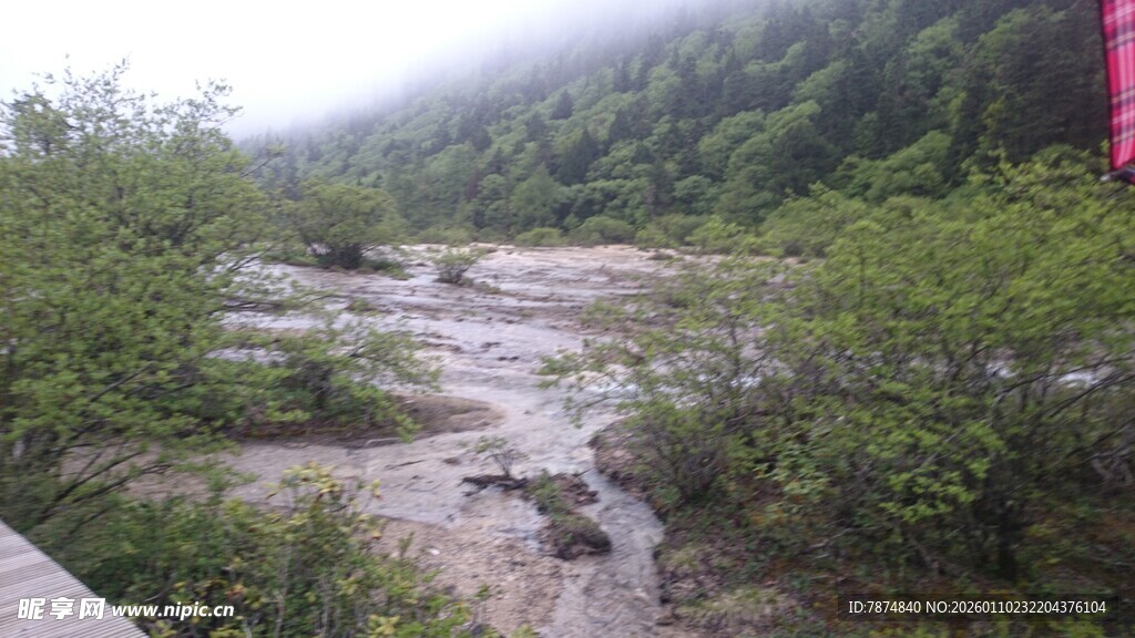 山间溪流旁的葱郁植被