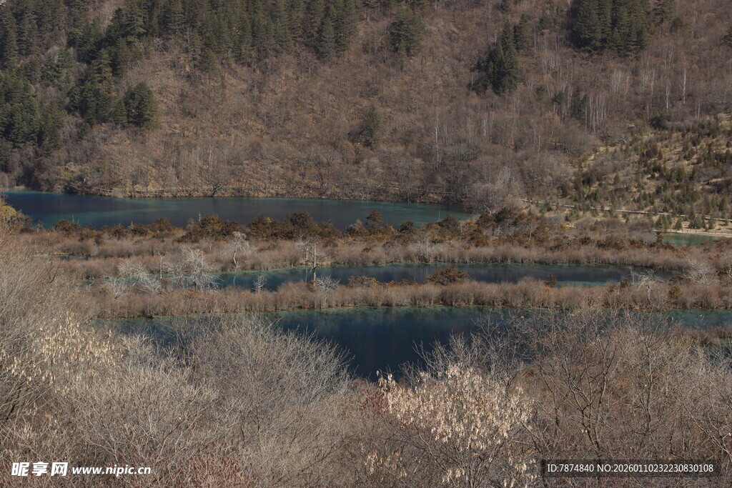 山间静谧湖泊与萧瑟树林