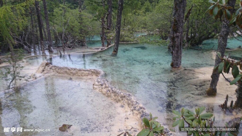 山林间的清澈溪流美景