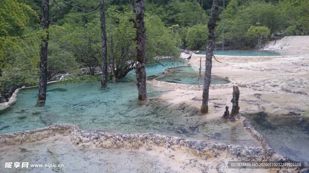 梦幻蓝绿相间的林间水域