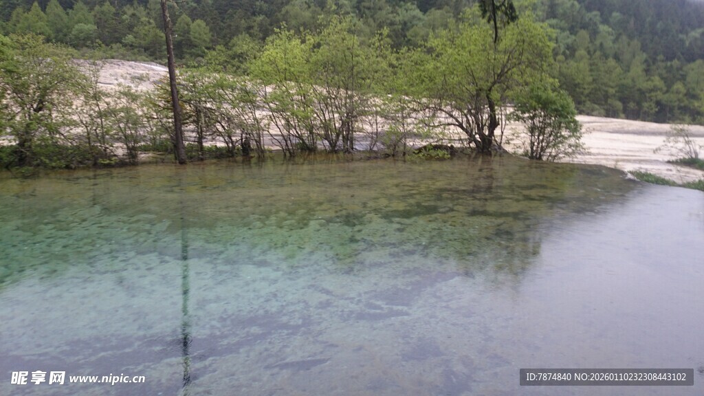 清澈河畔的自然美景