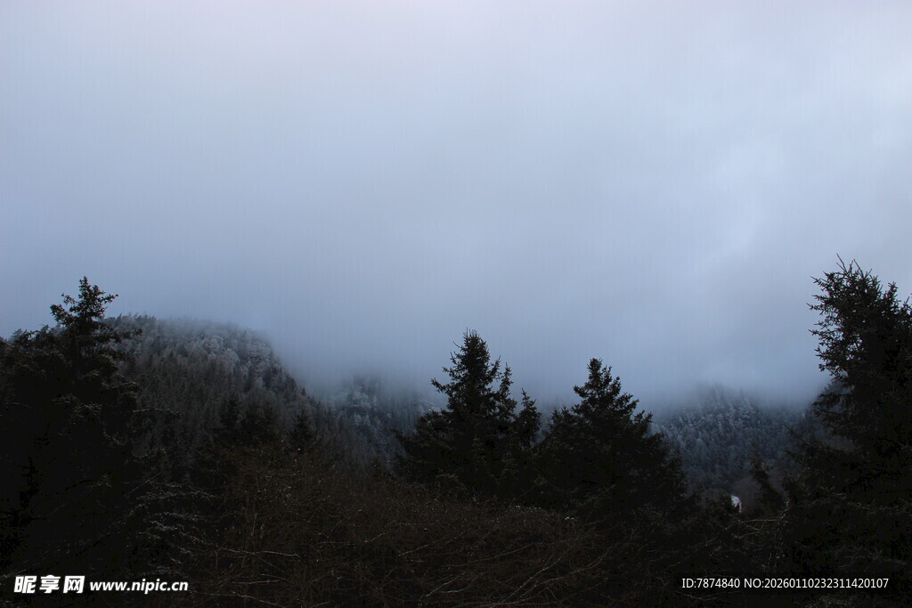 雾霭中的山林景色