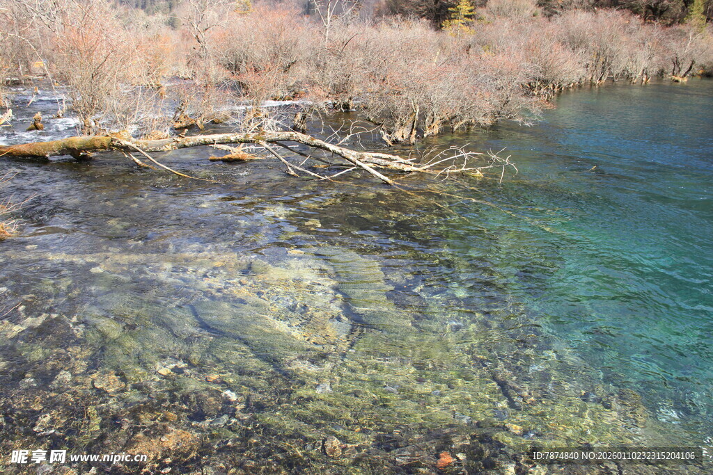 清澈见底的美丽自然水域