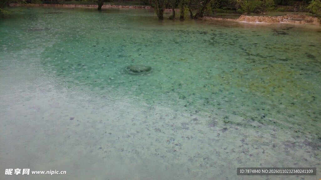 清澈见底的浅塘水域